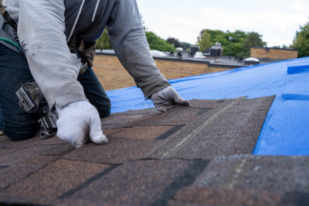 Best Shingle Roofing Installation  in Hughesville, PA